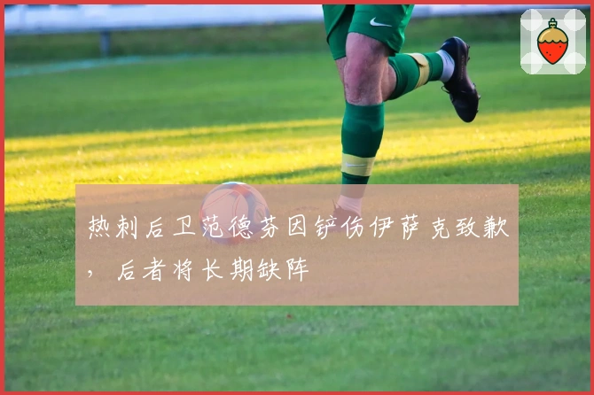 热刺后卫范德芬因铲伤伊萨克致歉，后者将长期缺阵