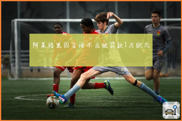阿莱格里因言语不当被罚款1万欧元
